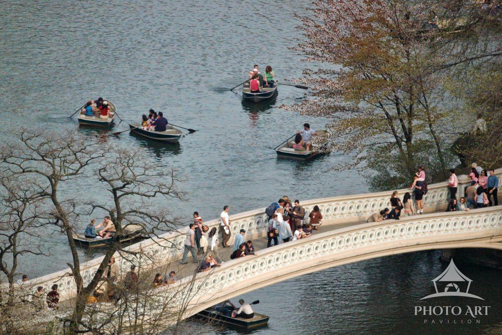 Central Park Rowers Photo Art Pavilion